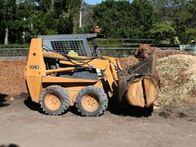 1st Choice Stump Grinding Tree Stump Removal Tree Trimming Pruning Tree Service in Newington