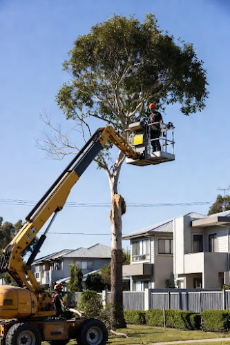 ABC Tree Lopping Brisbane in Brisbane City