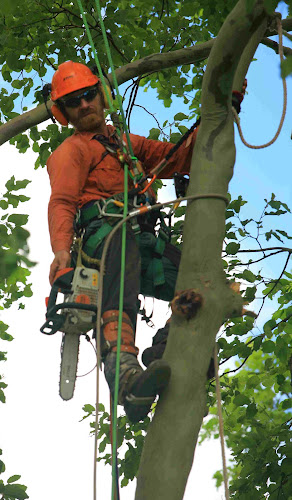 Ability Vegetation Service in Red Hill