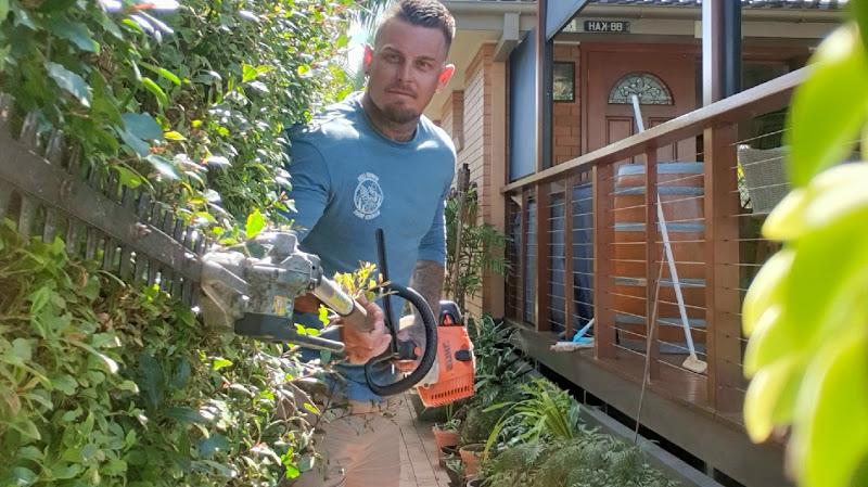 Action Removalist and Yard Services in Clontarf