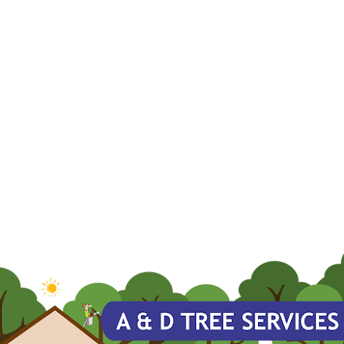 A&D Tree Services Pty Limited in South Nowra