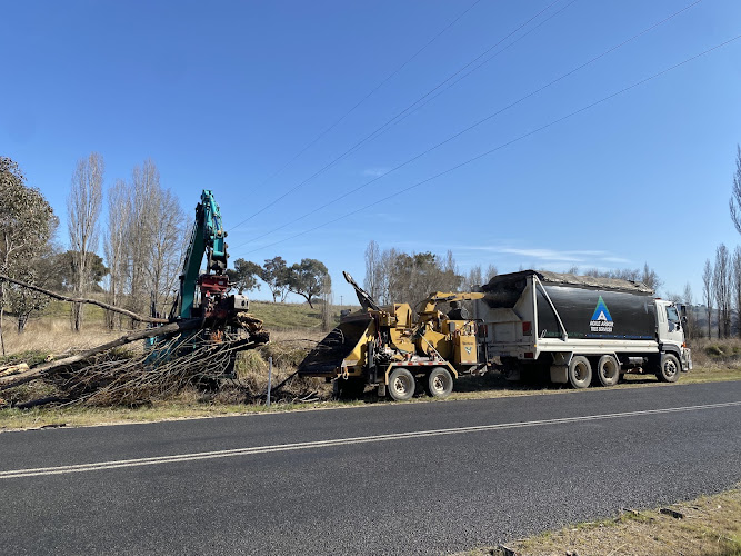 Agile Arbor Tree Services in Kelso
