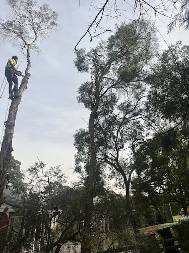 All Care Treescape in Liverpool