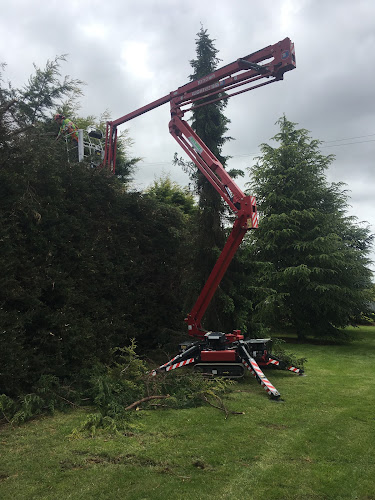 ALL TREE SOLUTIONS in Devonport