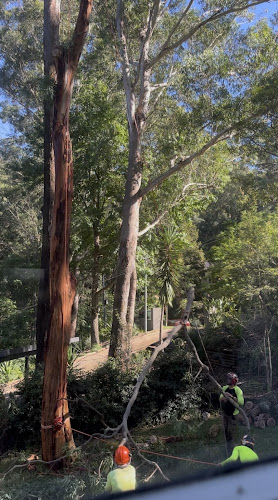 Arbor Pride in Thornleigh