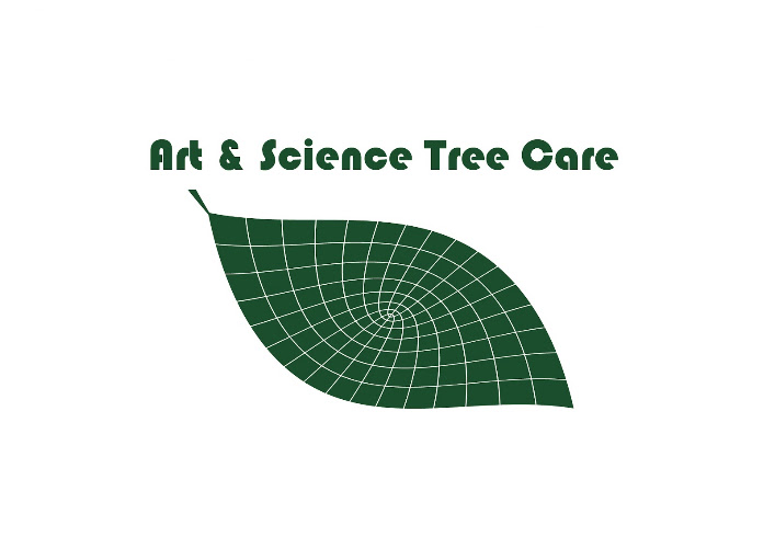 Art and Science Tree Care in Geelong