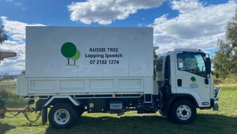 Aussie Tree Lopping Ipswich in North Booval