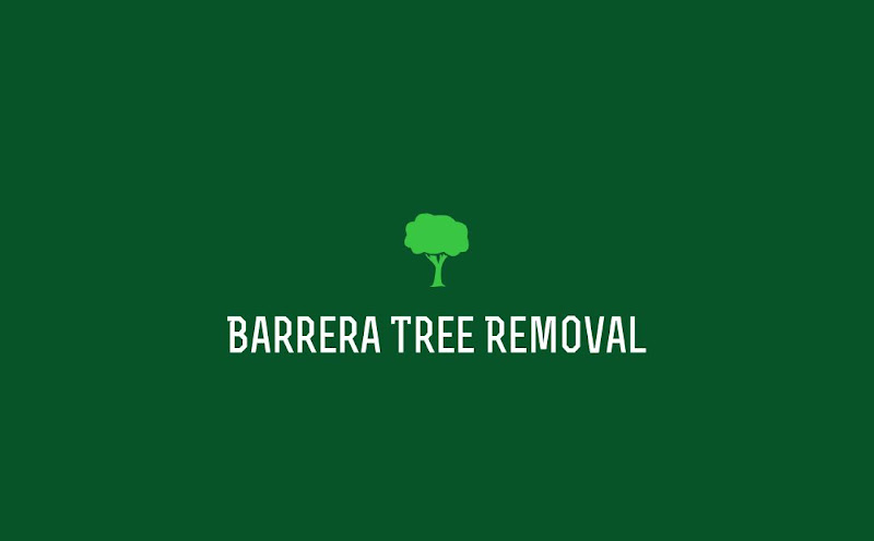 Barrera Tree Removal in Blacktown