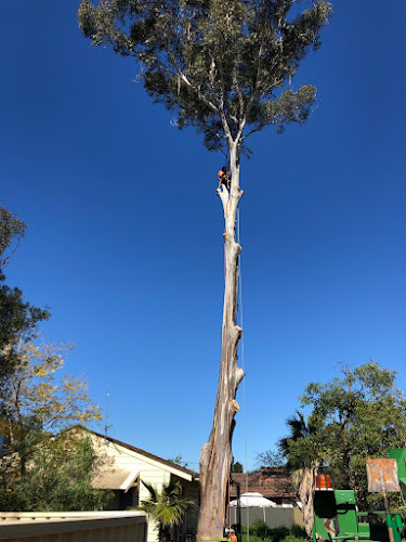 Baulkham Hills Tree Services & Removal in Blacktown
