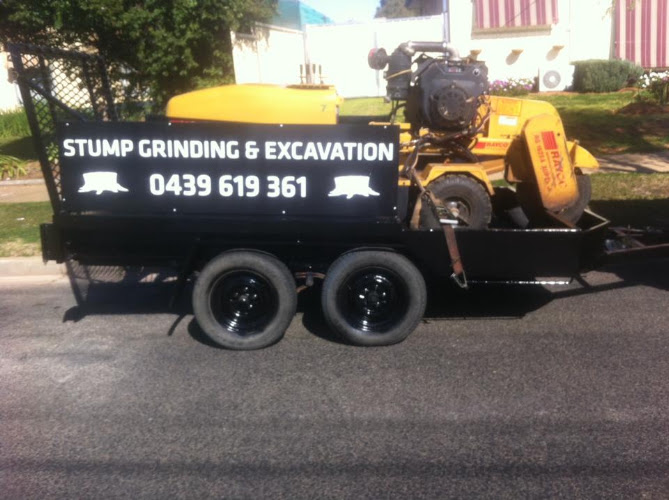 Bendigo Stump Grinding and Tree Removal in Bendigo