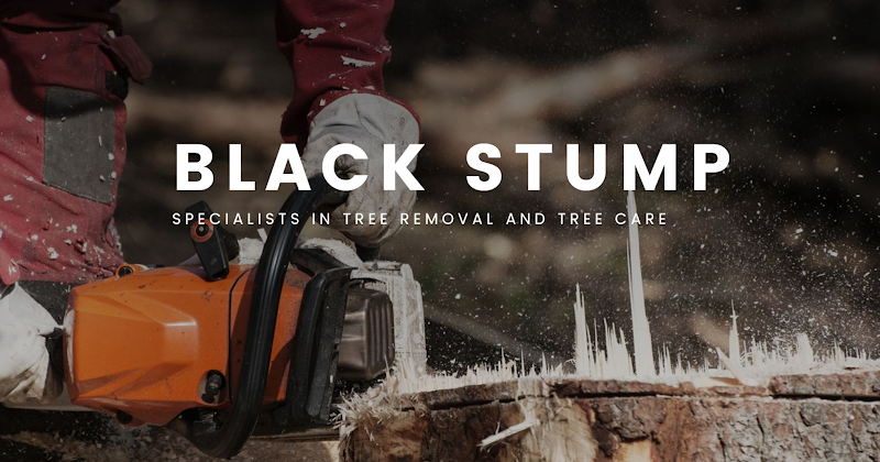 Black Stump Tree Removal Adelaide Hills in Mount Barker