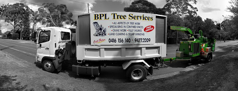 BPL Tree Services in Hornsby