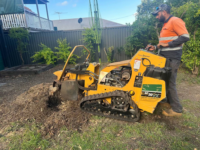 Budget Stump Grinding Brisbane in Brisbane City