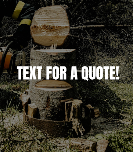 Busselton Tree Services in Busselton