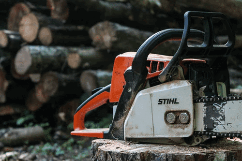 Cairns Tree Services in North Lakes
