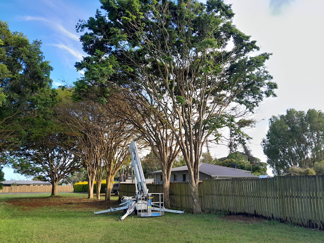 CenQ tree solutions in Bundaberg