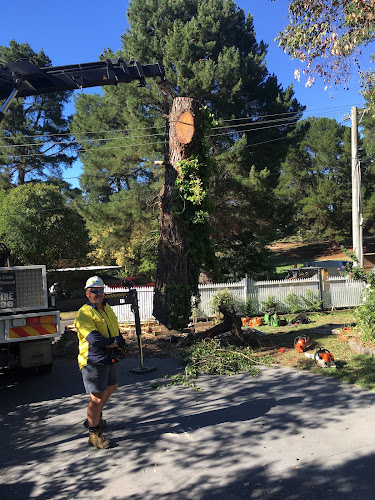 CHATFIELD Arborists & Consultants in Richmond