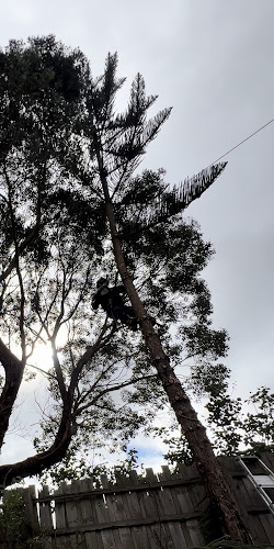 Clean and Green Gardening- Tree Removal And Gardening Specialists in Endeavour Hills