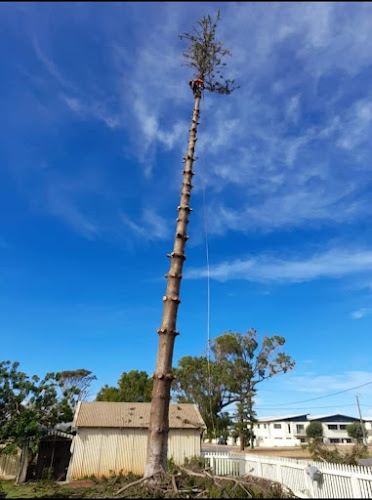 Cnp tree services in Geraldton