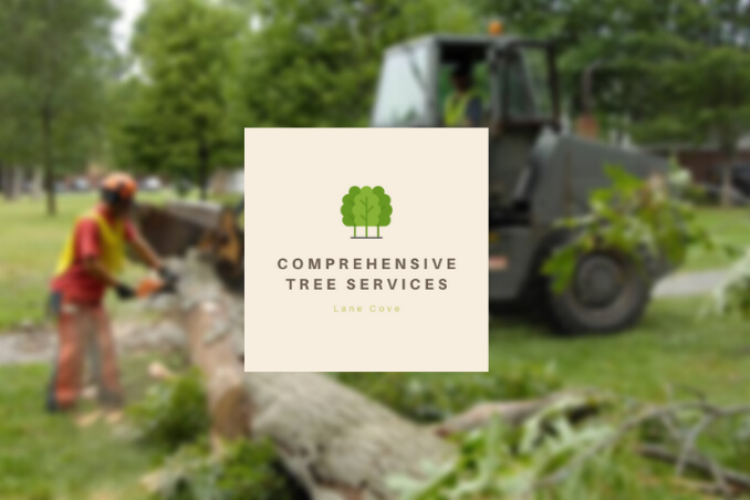 Comprehensive Tree Services Lane Cove in Hornsby