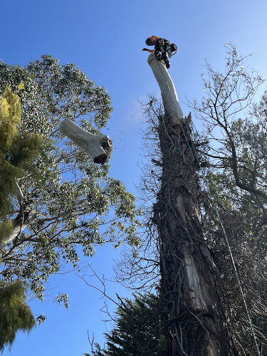 Cut It Right Tree Service in Berwick