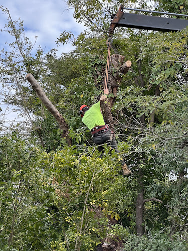 Dad and Dave's Tree Services in Kirrawee