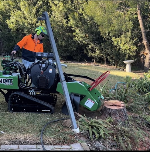 Digger's Stump Grinding & Tree Services in Kings Langley