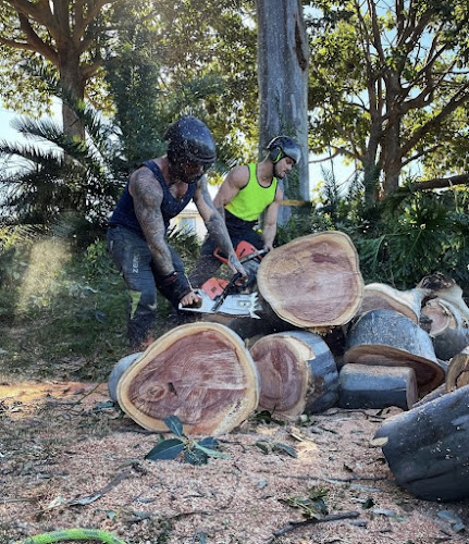 Dingo's Tree Services in North Wollongong