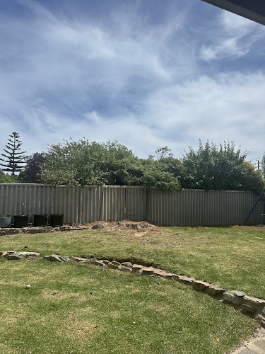 DM Contracting tree services in Rockingham