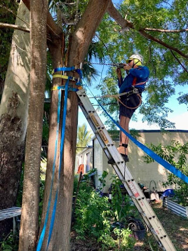 Domestic Tree Care Fraser Coast in Point Vernon