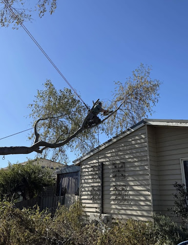 Drop Bear Land Services in Traralgon