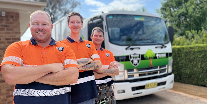 Dubbo Tree Service in Dubbo