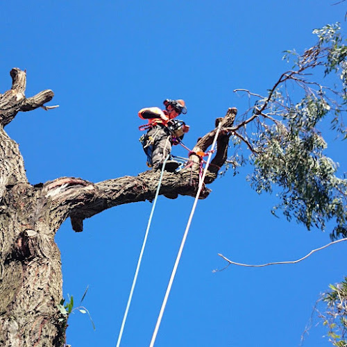 Eco Land Management Solutions ELMS in Oxley Vale