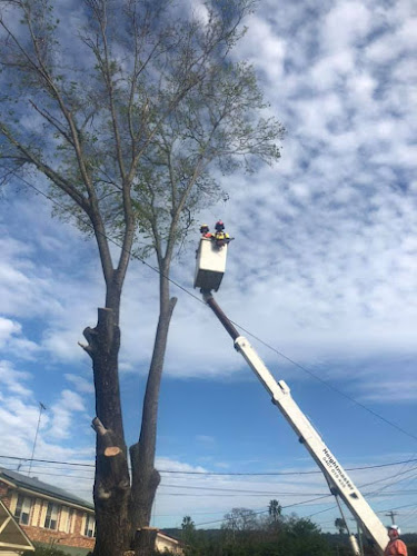 ENVIRO TREE WORKS in Moorebank
