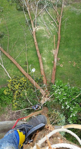 Eumeralla Contracting in Mount Gambier