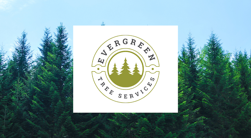 Evergreen Tree Services in Parramatta