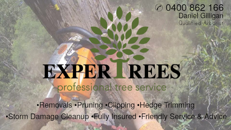 Expertrees in Ringwood
