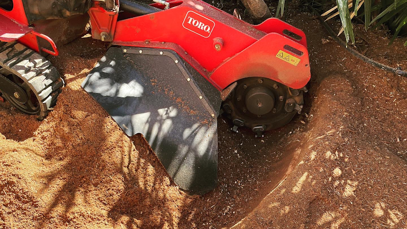 FNQ Stump Grinding in Aeroglen