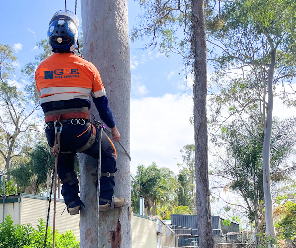 GDE Tree Services Sydney in Parramatta