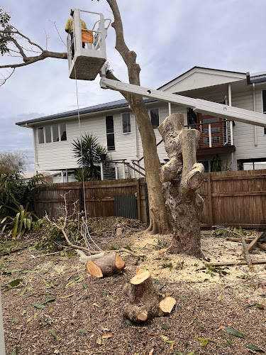 Geoffs Tree Lopping Hervey Bay in Pialba