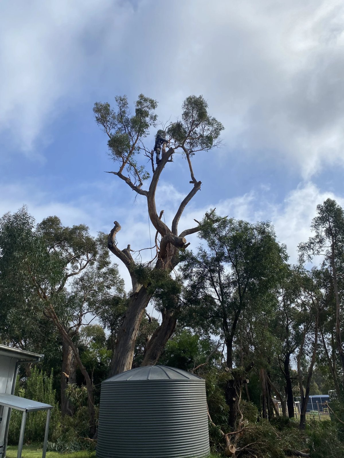Goldfields Environmental in Redan