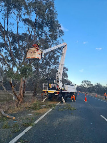 Goulburn Valley Tree Service in Shepparton