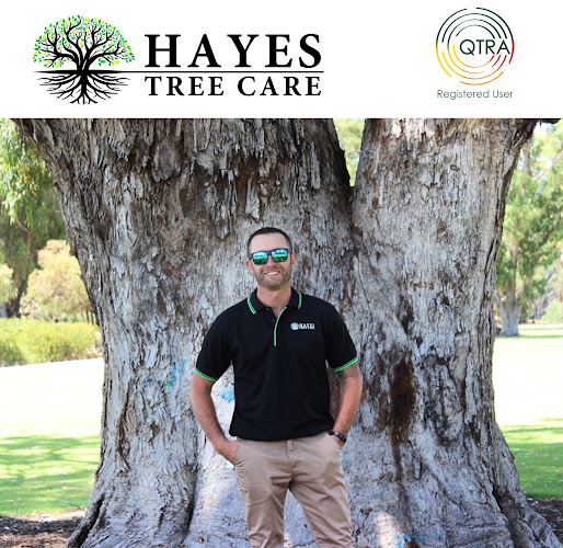 Hayes Tree Care in Greenfields
