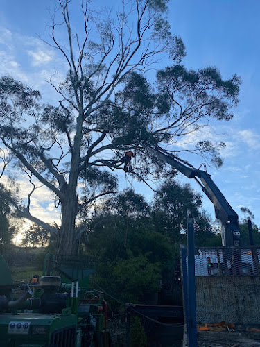 Hobart Tree Chipping & Recycling in Hobart