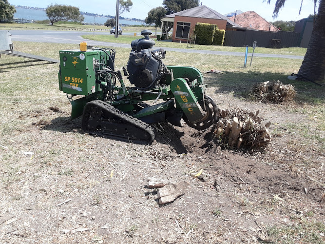 Hutchy's Tree Lopping in Inman Valley