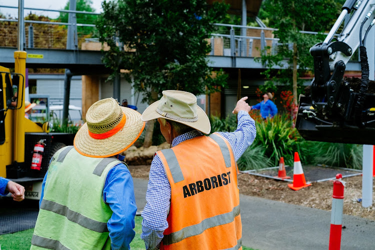 Independent Arboricultural Services in Eagle Farm