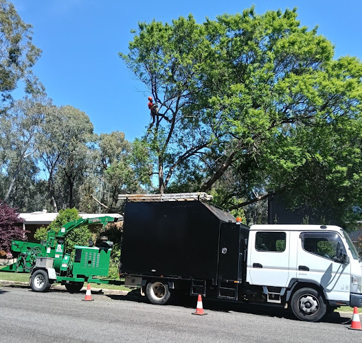 JDM arbor care in Shepparton