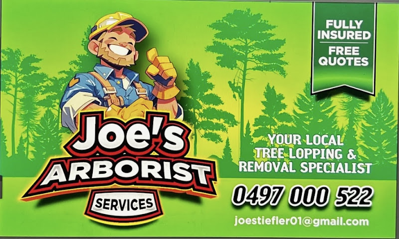 joe’s arborist services in Gympie