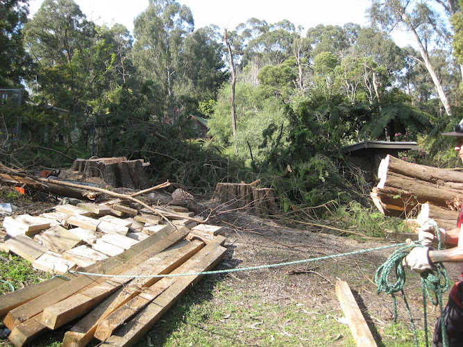 JOEYS TREE SERVICES in Dandenong
