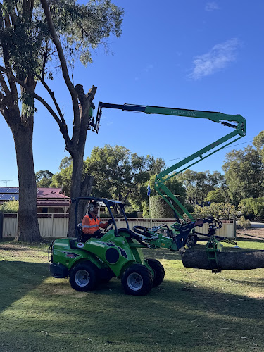 Jordans Tree Services in Rockingham